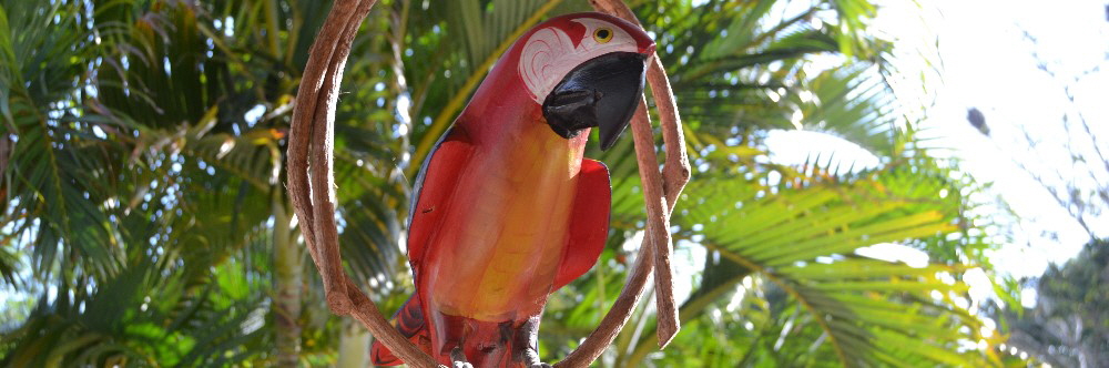 O lugar mais romántico da Bahia 