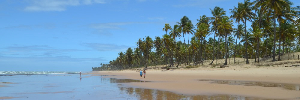 Capoeira Camp Bahia