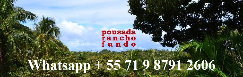 SALVADOR FEST HOSPEDAGEM / Hotel / Pousada