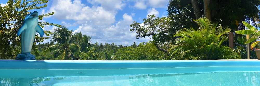 Pacote Réveillon Pousada Rancho Fundo Litoral Norte Bahia 