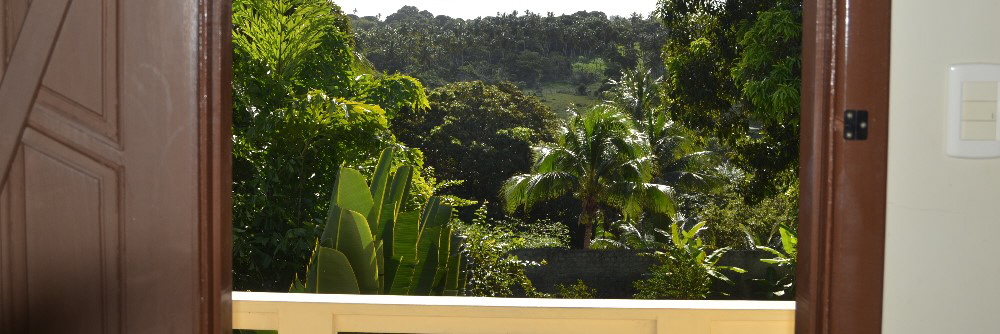 Litoral norte da Bahia 