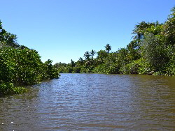 Pousada Rancho Fundo Safari