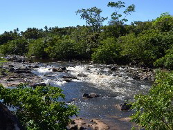 Pousada Rancho Fundo Safari