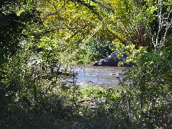 Pousada Rancho Fundo Safari