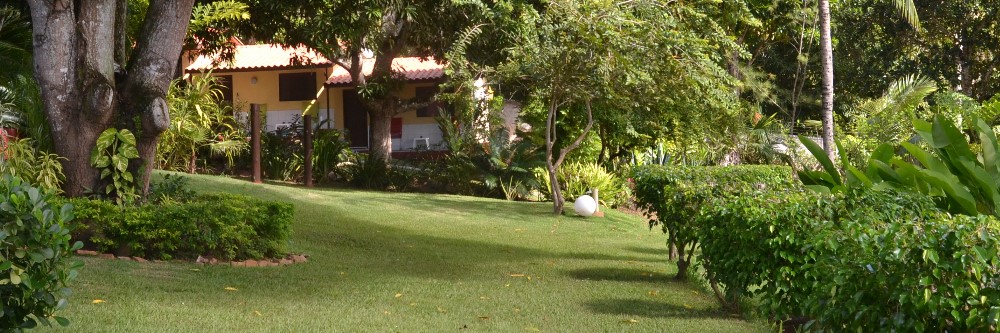 Lua de mel Salvador litoral norte